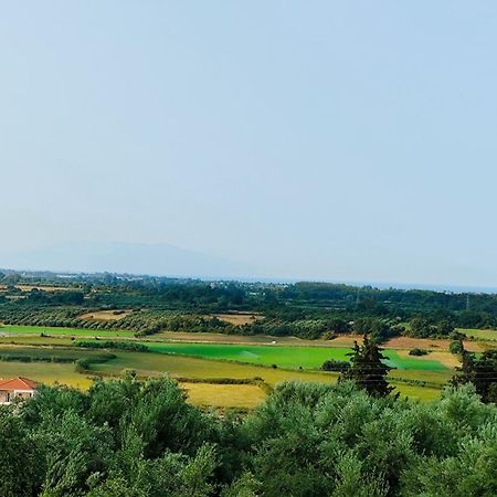 הוילה Nikopolis Simos' Sea View House מראה חיצוני תמונה