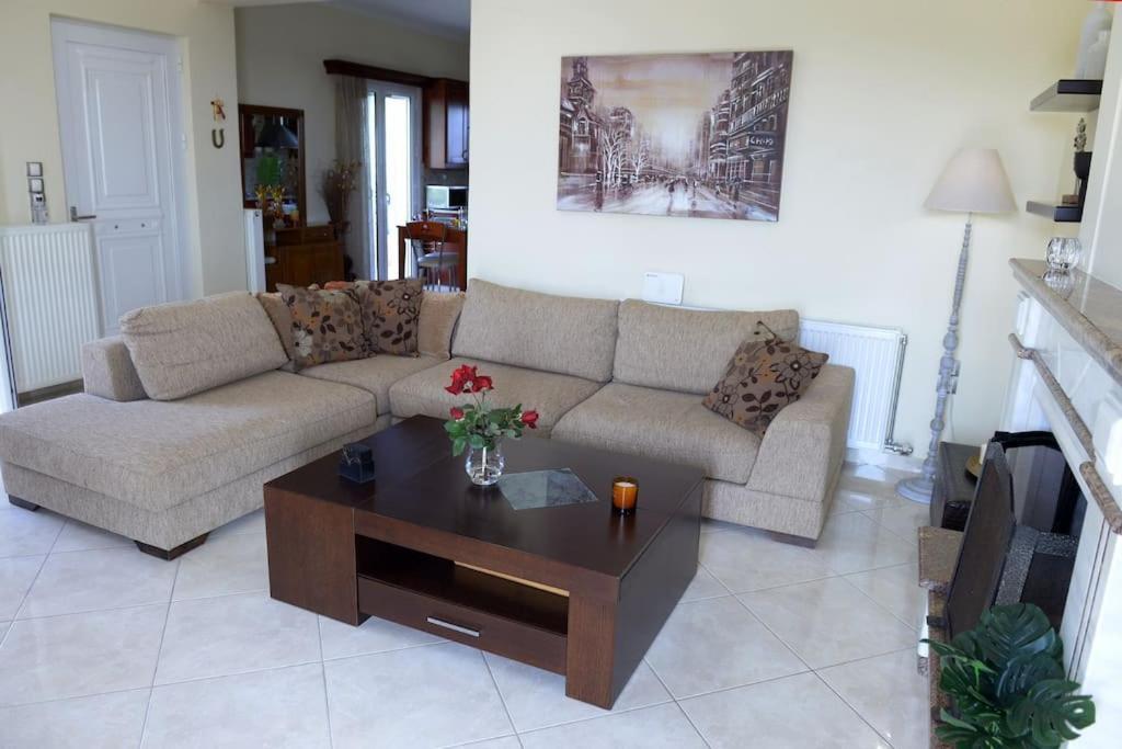 הוילה Nikopolis Simos' Sea View House מראה חיצוני תמונה