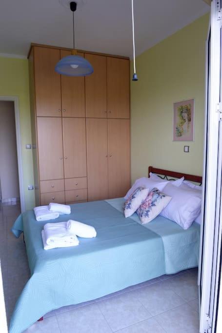 הוילה Nikopolis Simos' Sea View House מראה חיצוני תמונה