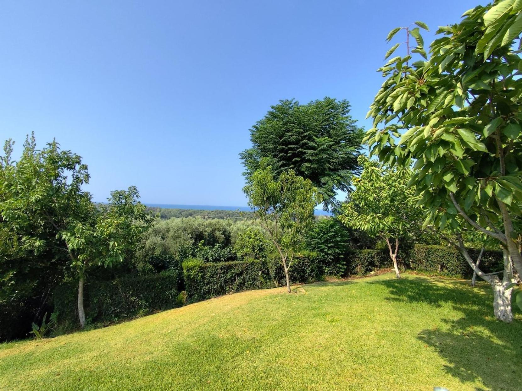 הוילה Nikopolis Simos' Sea View House מראה חיצוני תמונה