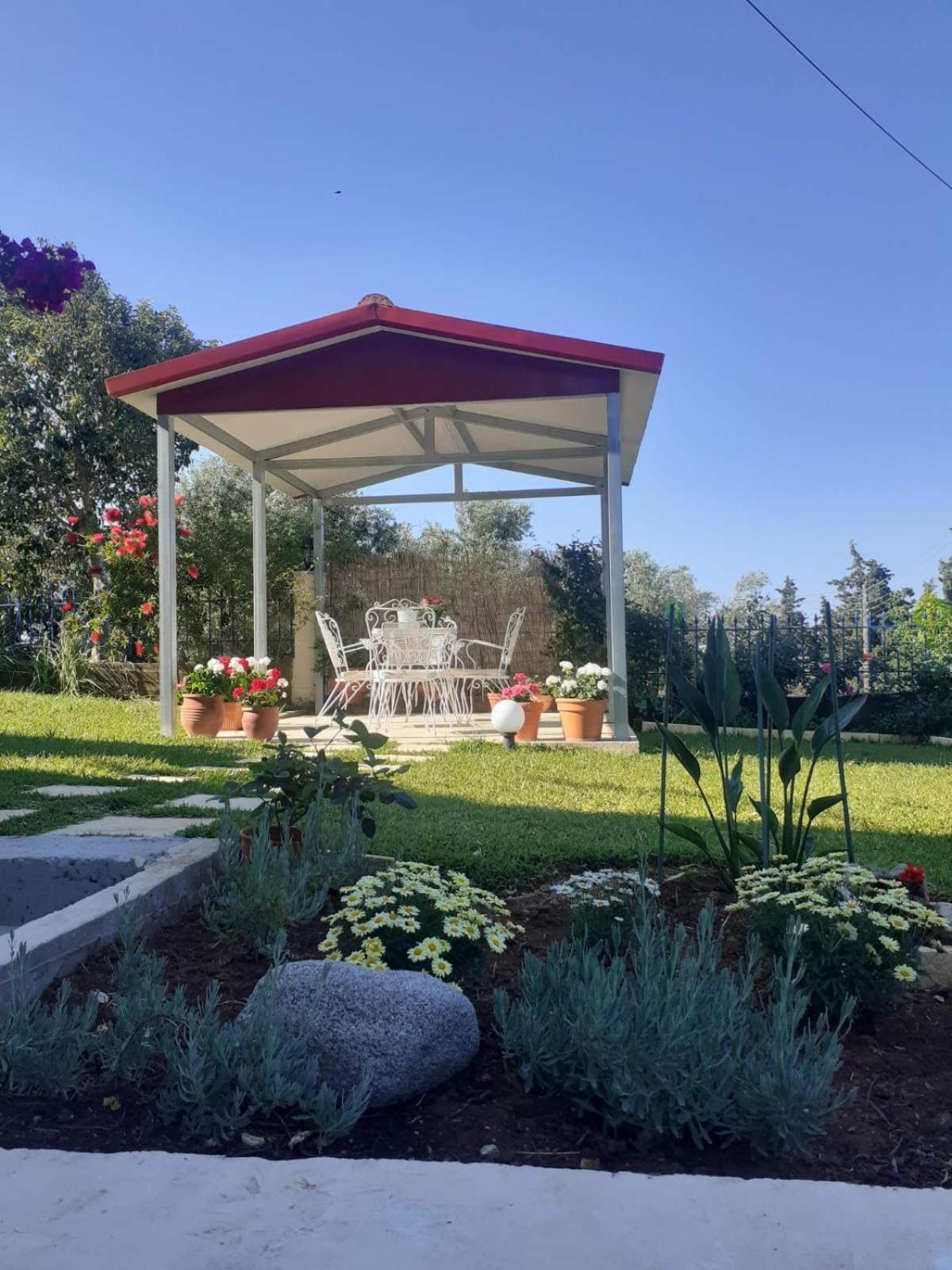 הוילה Nikopolis Simos' Sea View House מראה חיצוני תמונה