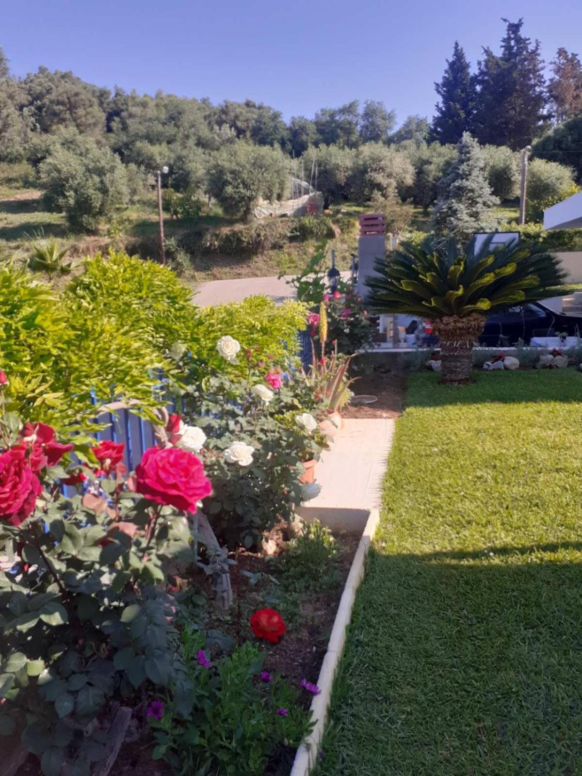 הוילה Nikopolis Simos' Sea View House מראה חיצוני תמונה